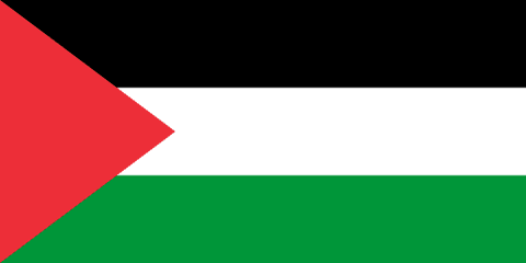 Flag: Palestine