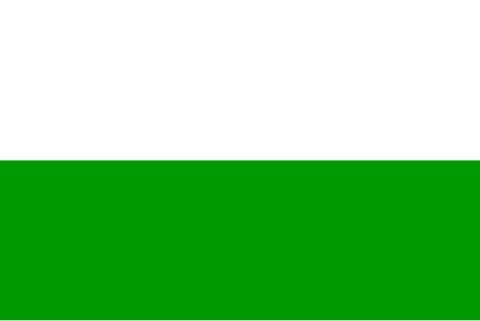 Bandeira: Reino da Saxônia