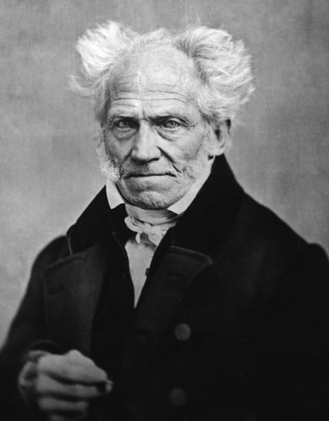 Portrait: Arthur Schopenhauer