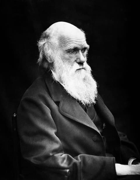 Retrato: Charles Darwin