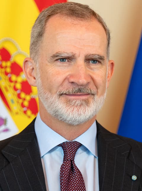 Portrait: Felipe VI