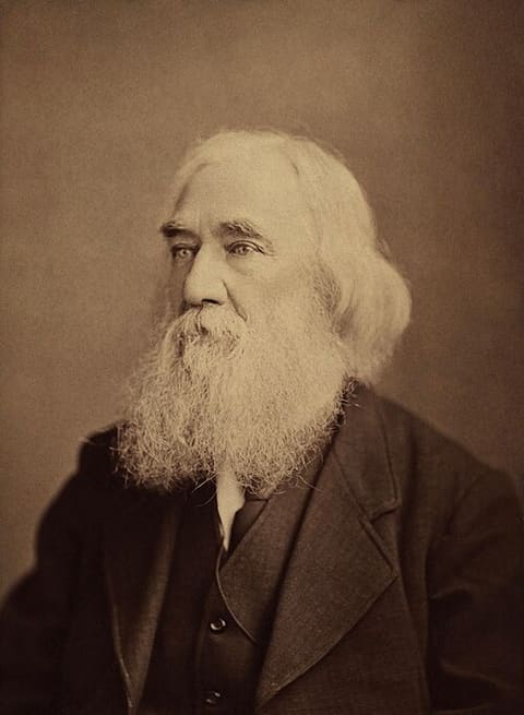 Portrait: Lysander Spooner
