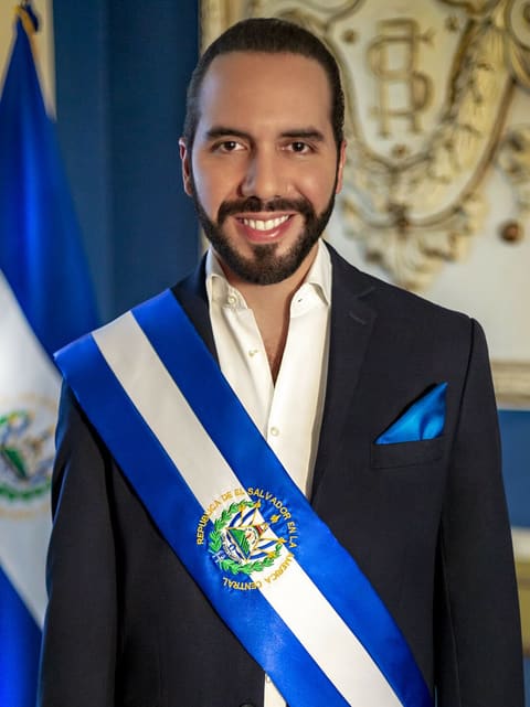 Portrait: Nayib Bukele