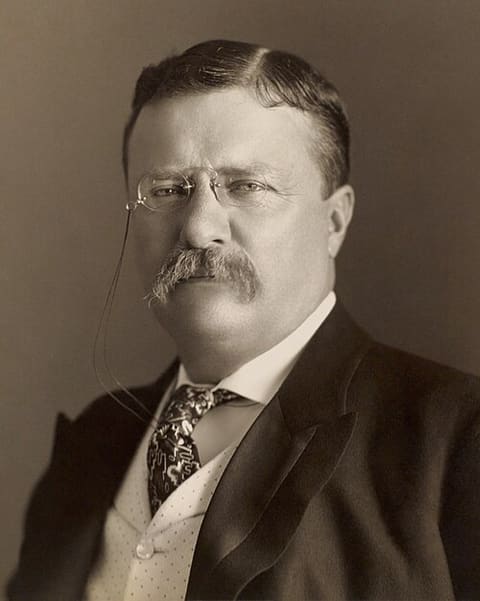 Retrato: Theodore Roosevelt