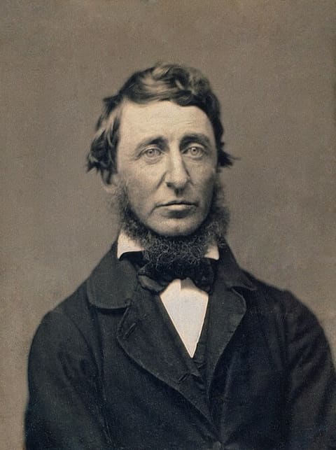 Retrato: Henry David Thoreau